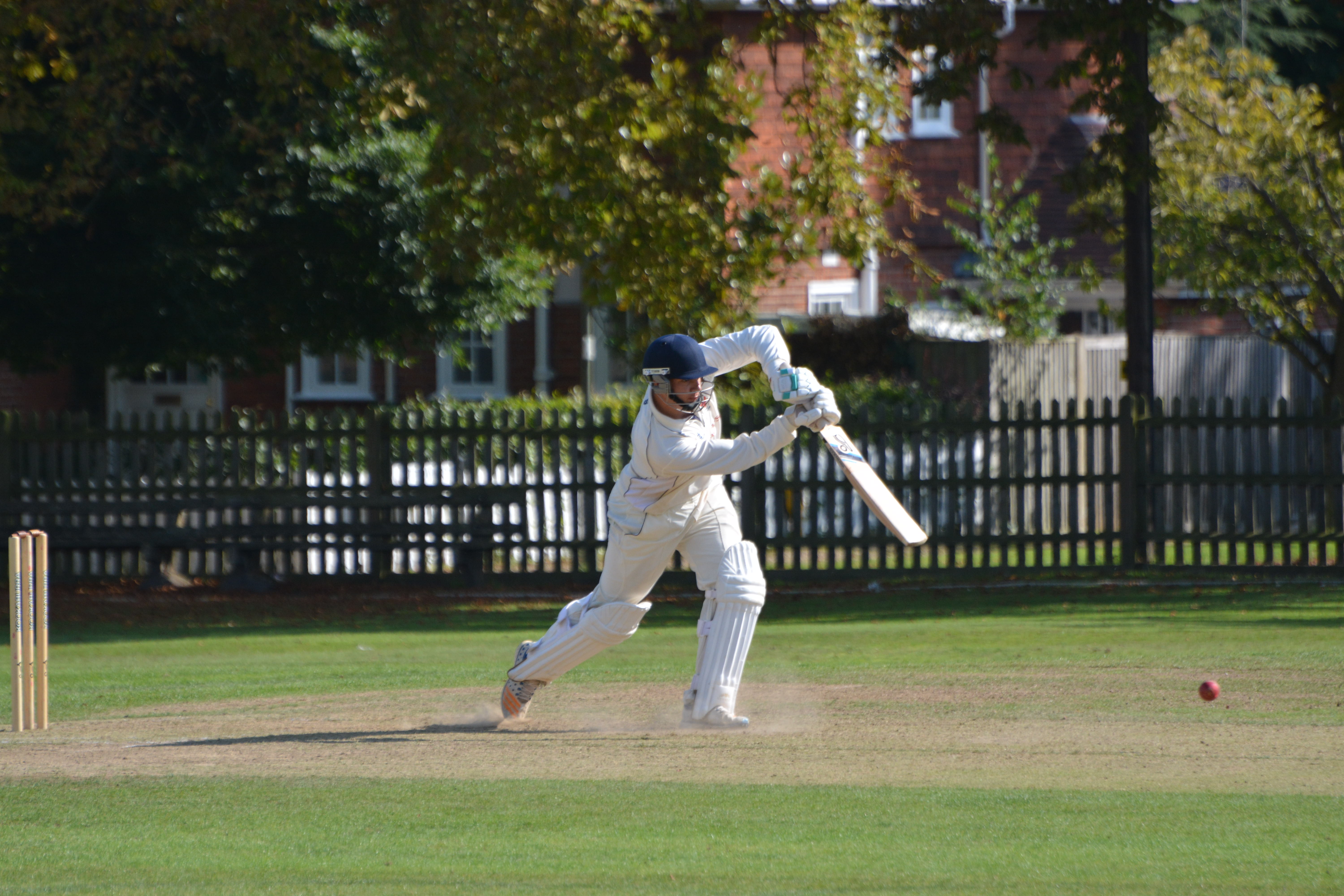1st XI Season Report Esher Cricket Club